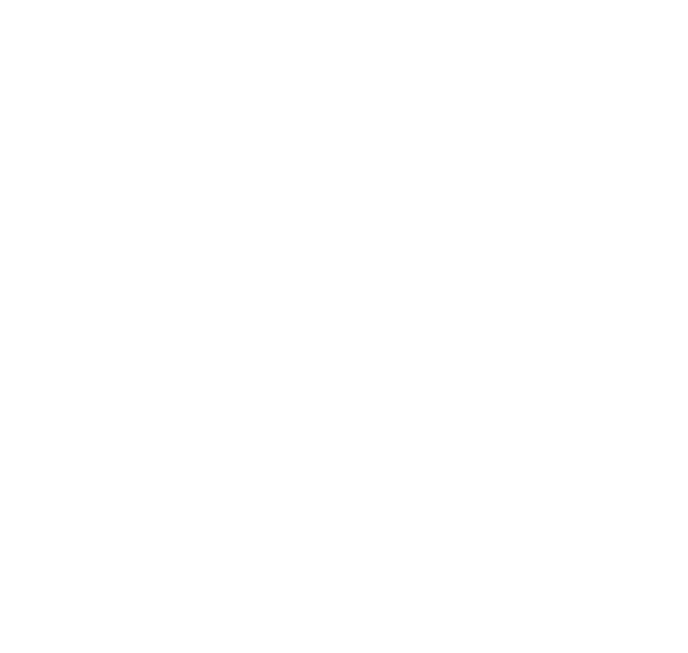 logo ImunoMedica