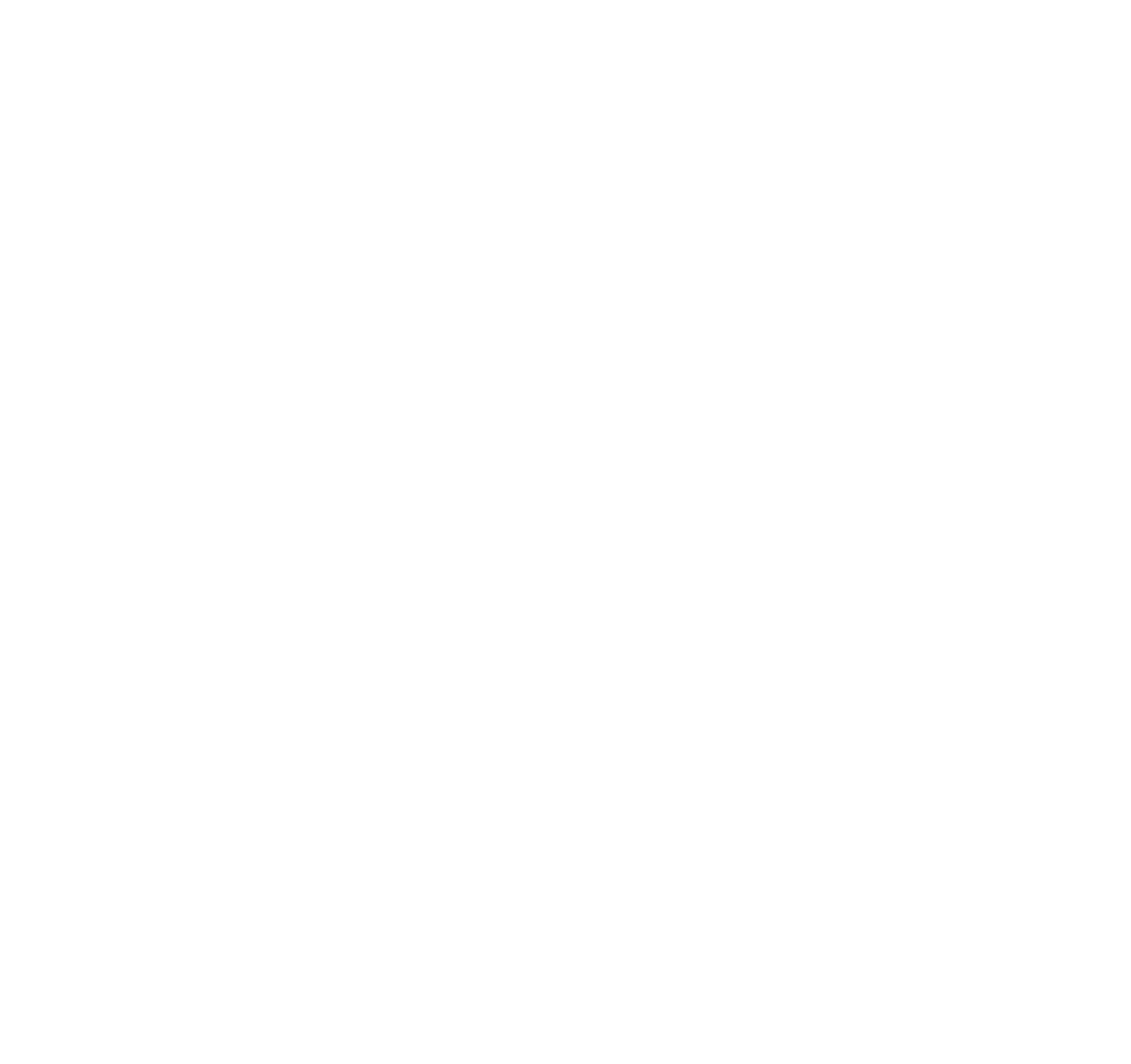 logo ImunoMedica