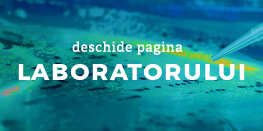 deschide pagina laboratorului