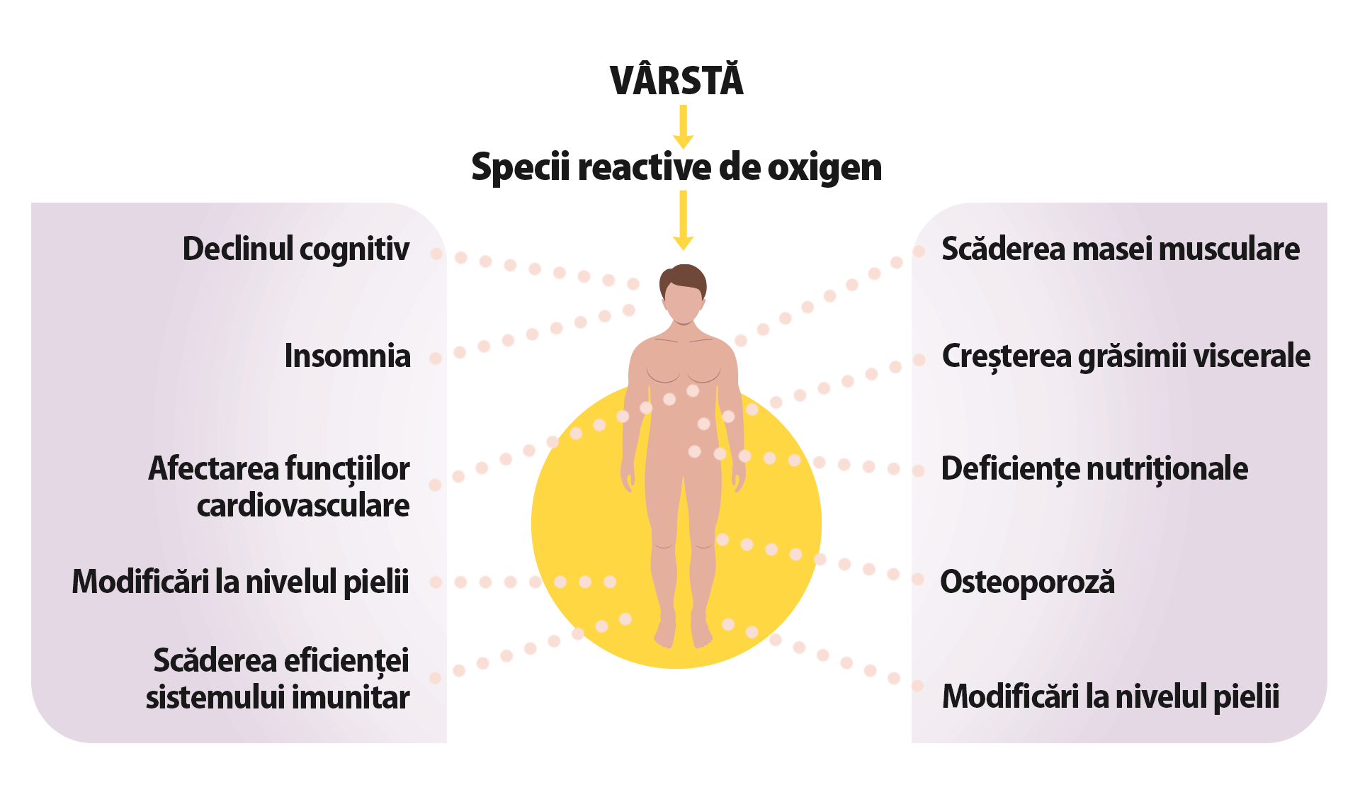 Vârstă. Specii reactive de oxigen