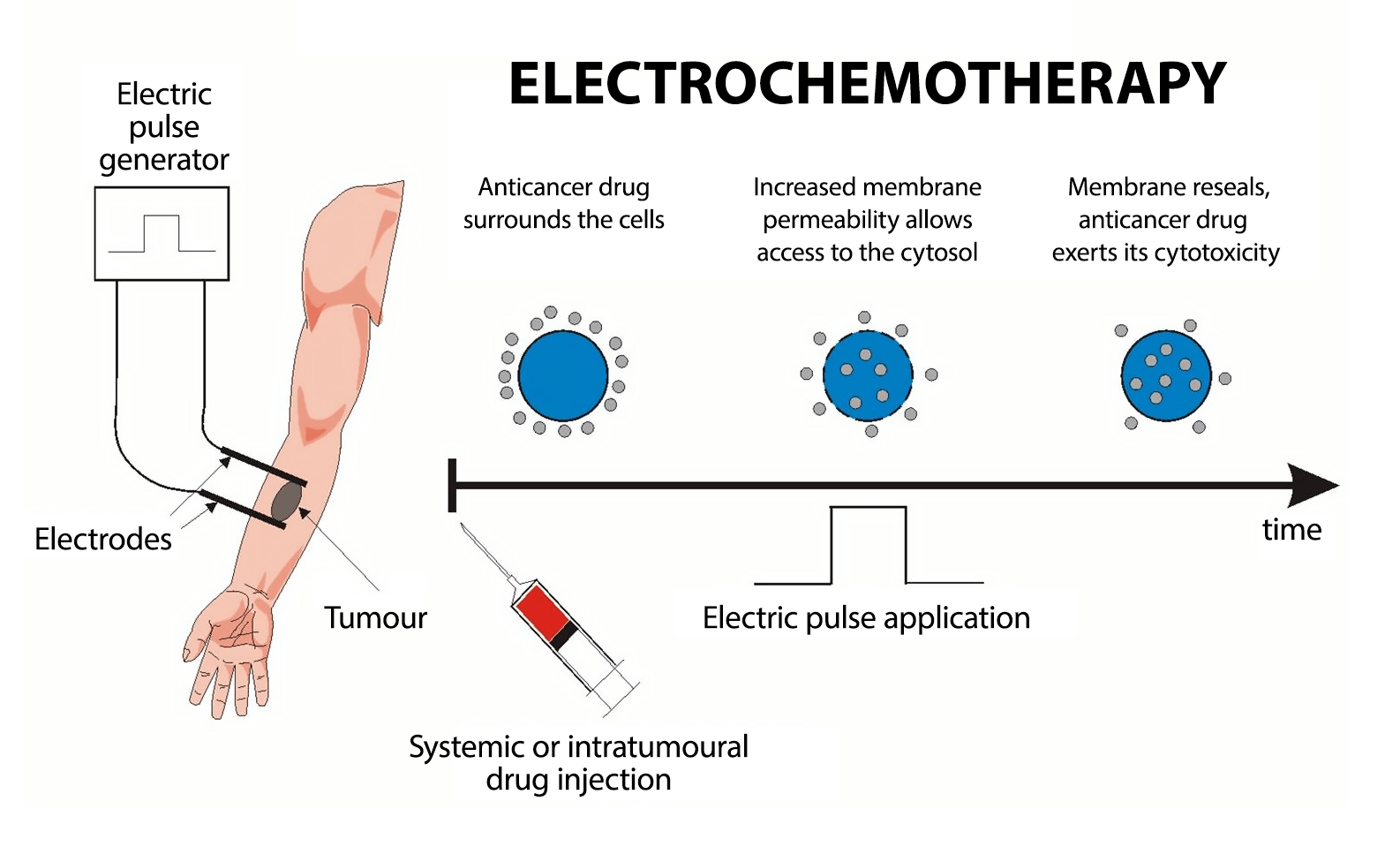 Electrochemotherapy scheme