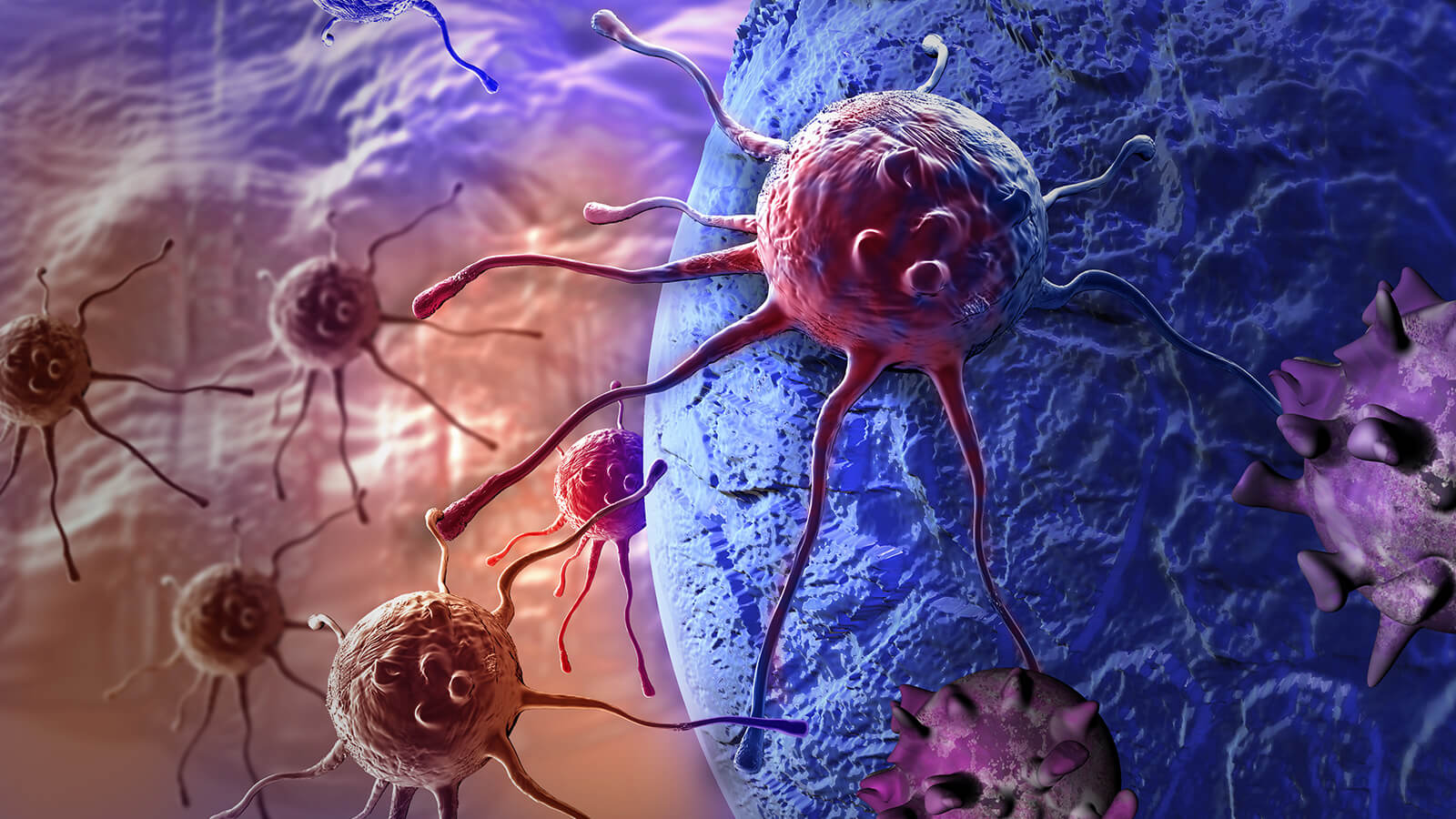 Types of cancer treatable with hormone therapy
